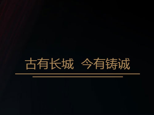 合作(zuò)案例